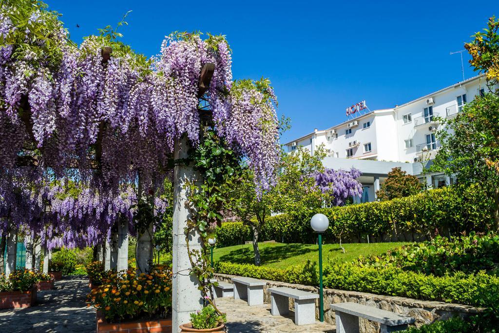 Hotel Belsol Бельмонте Экстерьер фото